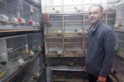 Slobodno vrijeme Emira Bašića okupiraju egzotične ptice