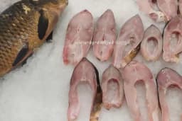 Nije svaka riba zdrava: Četiri vrste koje bi bilo bolje da izbjegavate