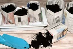 Biorazgradive papirne čaše za rasad - Napravite sami, potpuno je besplatno!