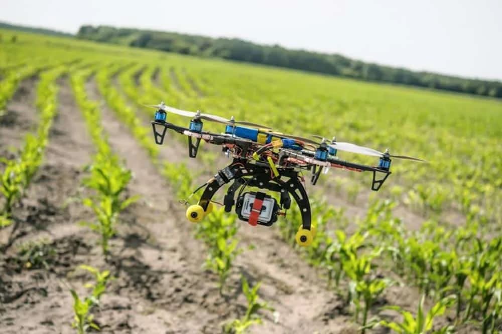 dron