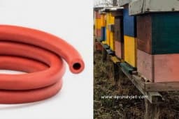 Pomoću gumenog crijeva provjerite da li pčele normalno zimuju