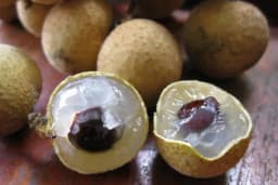 Longan ili zmajevo oko - Kakvo je ovo voće?
