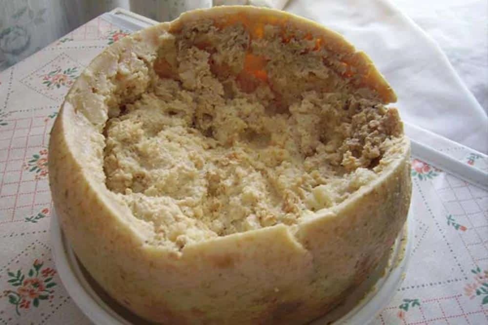 casu marzu
