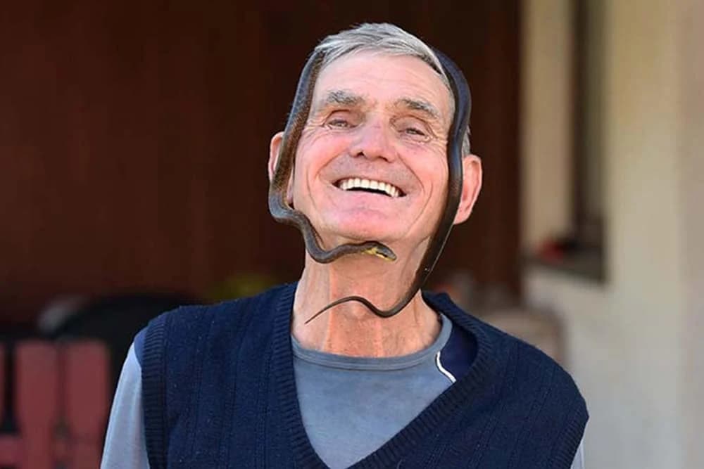 mićo gujar