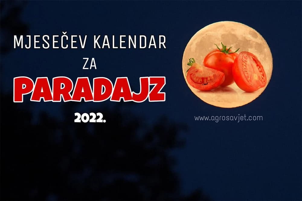 mjesečev kalendar