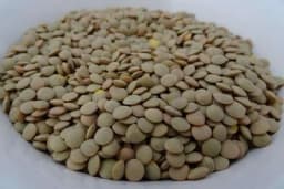 Kako se gaji SOČIVO mahunarka koja ima dobru perspektivu