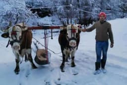 U šumi od jutra do mraka - srećniji od onih koji rade po kancelarijama?
