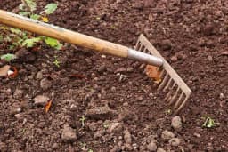 Kako da odredite najpovoljniji trenutak za obradu tla