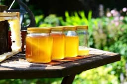 Postoji samo jedan način da saznate da li je med pravi