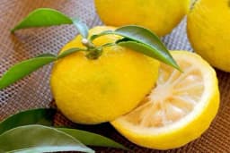 YUZU - Upoznajte citrus koji ima dvostruko više antioksidansa i vitamina C od limuna