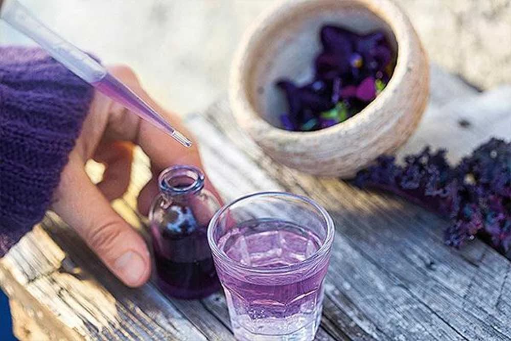 Odredite kiselost tla uz pomoć cvijeta maćuhice