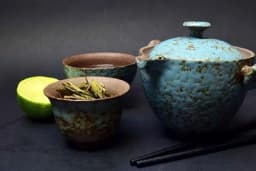 Ljekovita dejstva biljaka kineske tradicionalne medicine, a možete ih nabaviti i kod nas