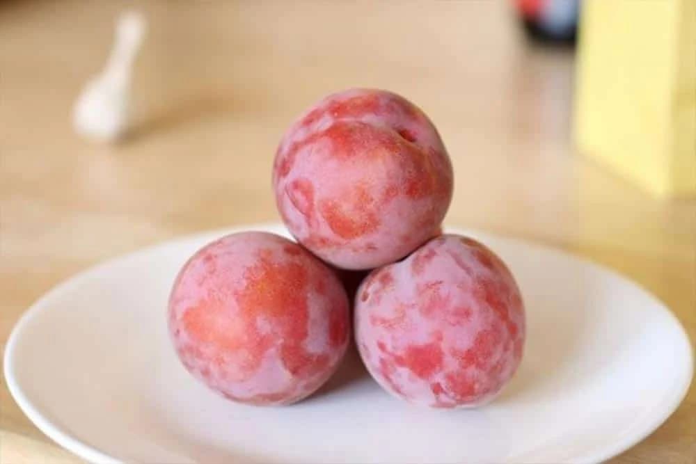 Peacotum