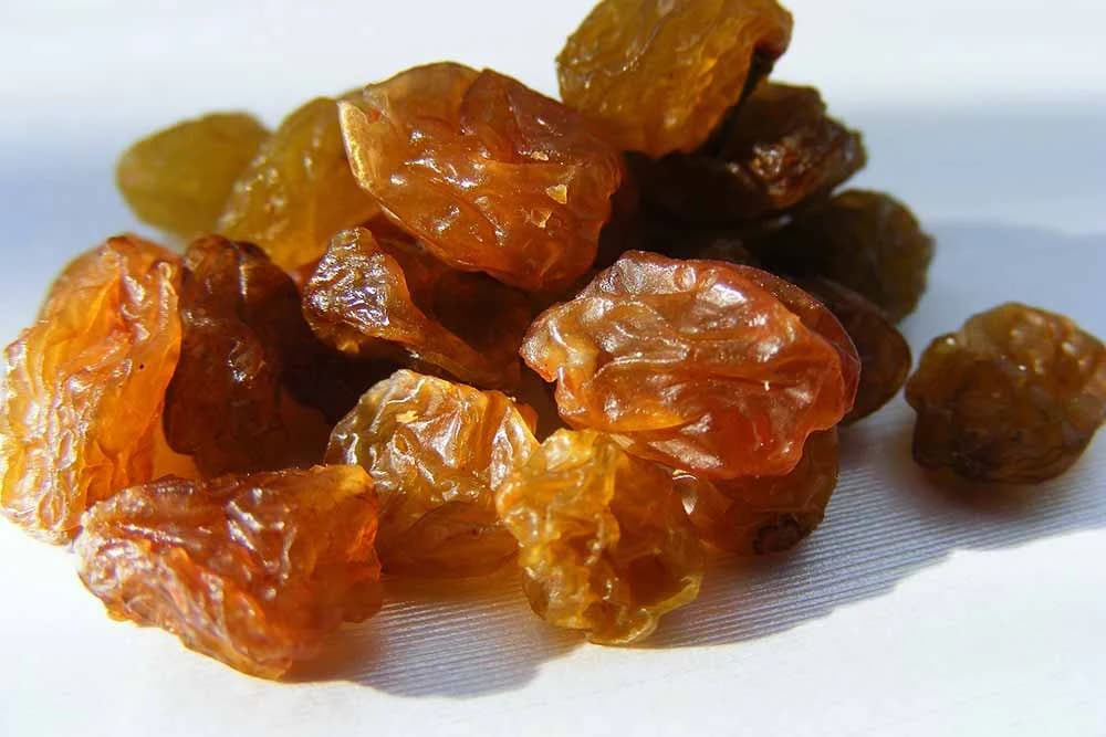 suvo voće