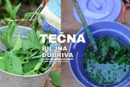 Fermentisana (tečna) biljna đubriva