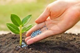 Izostavili ste jesenje đubrenje? Nadoknadite ga pred proljećnu sjetvu povrća