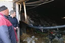 Izgorjela farma pilića, šteta 200.000 KM