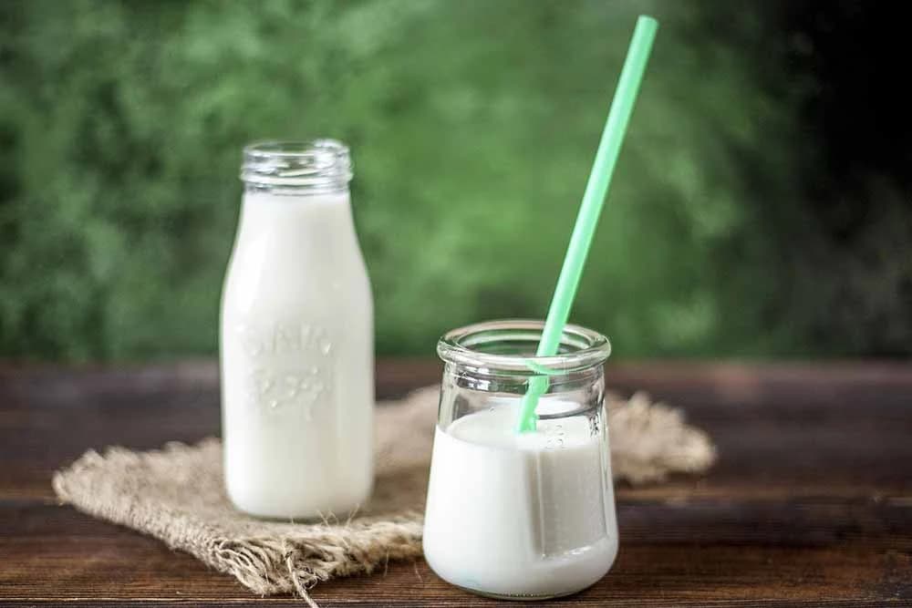jogurt