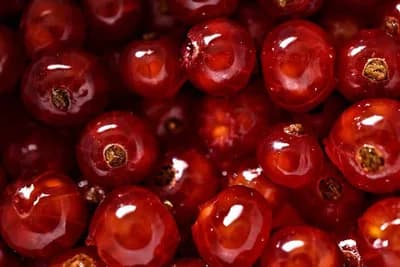 "Crveno blago" –  Dobre su za nerve, izvor vitamina A i pomažu ugradnji kalcijuma u kosti