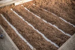 Najjednostavniji način sjetve povrća u bašti