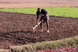 Ako imate baštu ili vrt, vi ste srećnici - Ovo su prednosti vrtlarenja