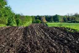 Uspjeh uzgoja voća i povrća zavisi od zemljišta - Saznajte kakvo tlo je potrebno za sadnju