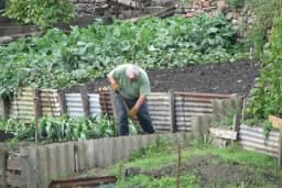 SODA BIKARBONA UMJESTO PESTICIDA - Zaštitite voće i povrće od propadanja na ovaj način!