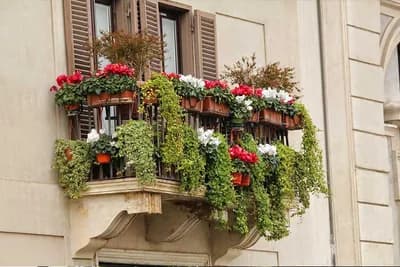 Ako imate mali balkon ili vrt ove biljke su najbolji izbor