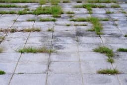 Kako se riješiti korova koji uporno raste između spojeva ploča u dvorištu