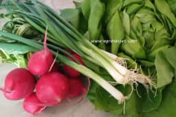 Pet namirnica koje bi trebalo jesti tokom proljeća - Jačaju imunitet i čuvaju zdravlje