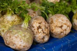 Skrivene moći celera – Da li znate kako se pravi celerova so?