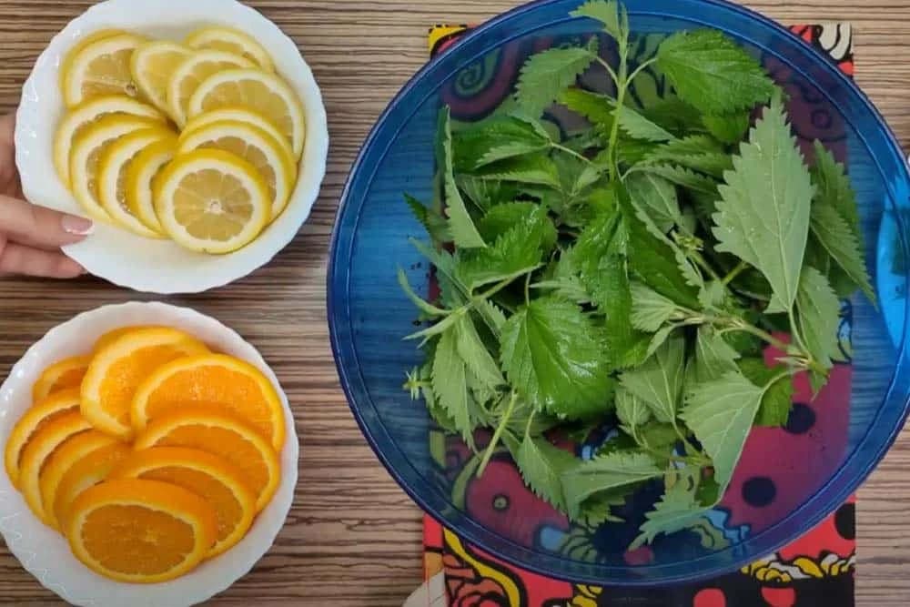 sirup od koprive