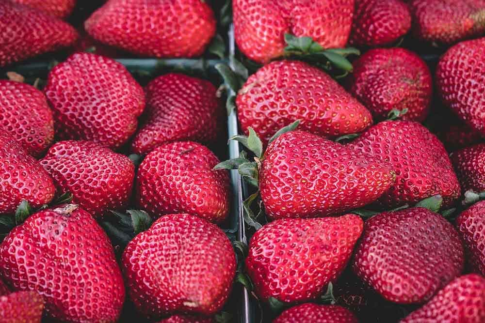 čuvanje plodova jagoda