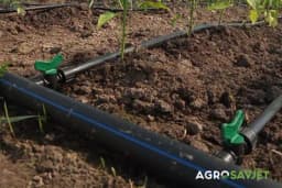 Kap po kap navodnjavanje - Prednosti i nedostaci