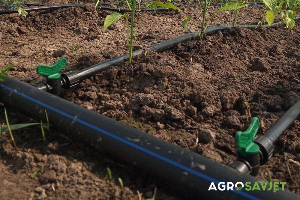 kap po kap navodnjavanje