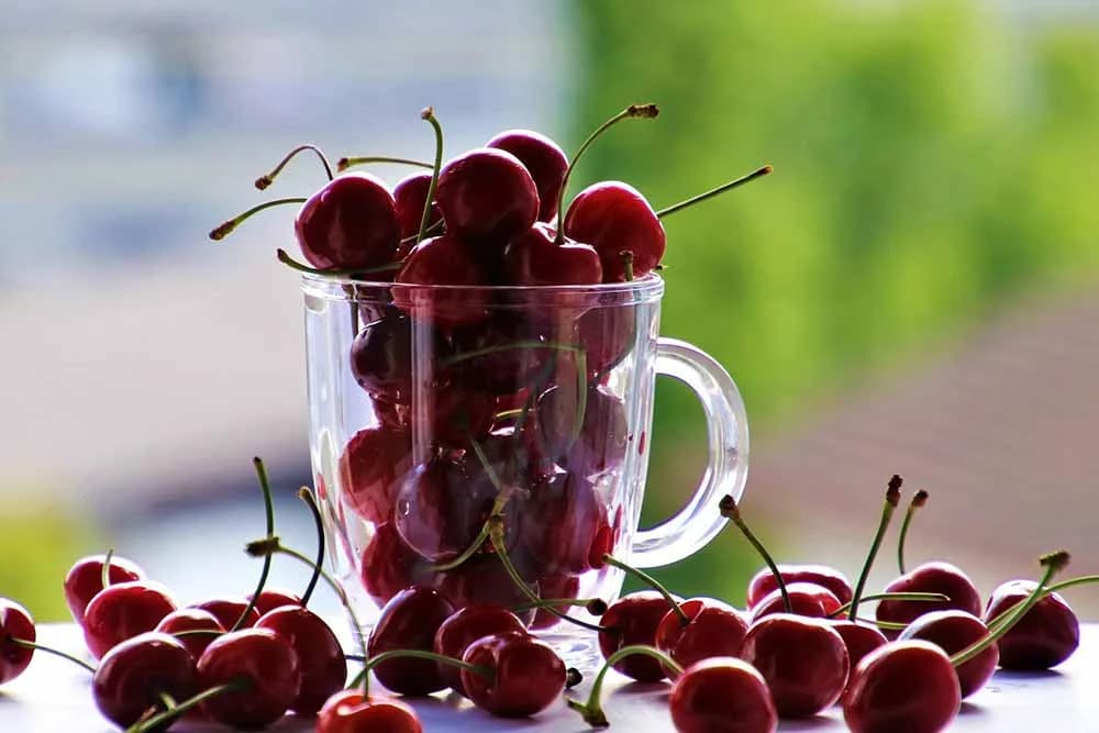 kompot od trešanja