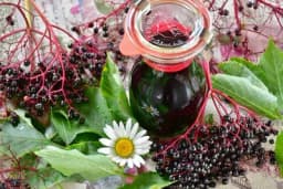 Liker od zove - specifična i ljekovita rakija