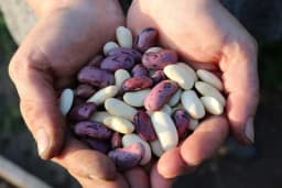 Najbolje namirnice za jačanje kostiju