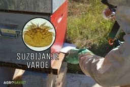 Suzbijanje varoe na biološki način