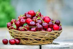 Šta će se desiti ako pojedete više od 20 trešanja?