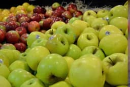 BiH na uvoznu hranu potrošila pola milijarde maraka