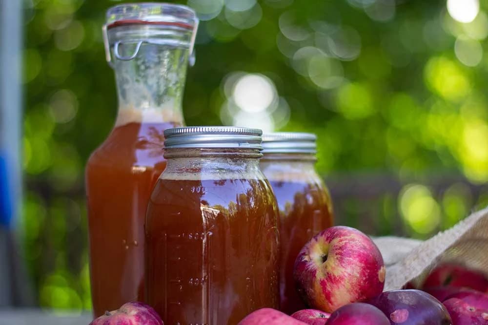 ljekovitost jabukovog sirćeta
