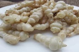 Kineska artičoka – ukusna, zdrava i ljekovita