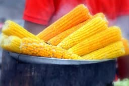 Trik za najukusniji kuvani kukuruz