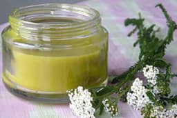 Kako se pravi mast od hajdučke trave?