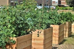 Pametna bašta je spas za baštovane: Nema okopavanja, plijevljenja, a u njoj raste sve ono što vam treba