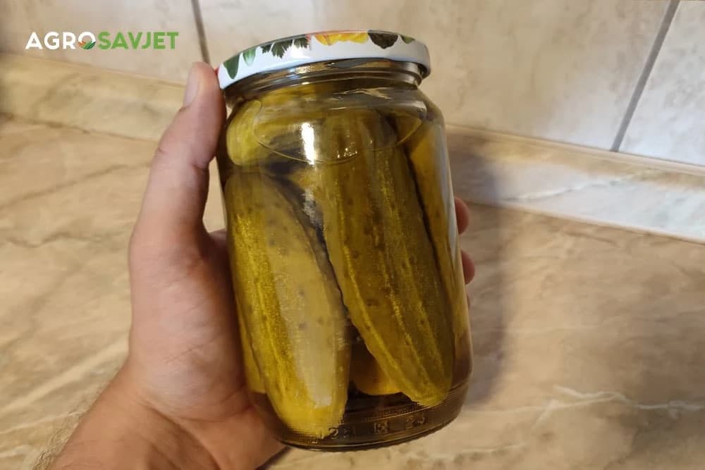 kiseli krastavci