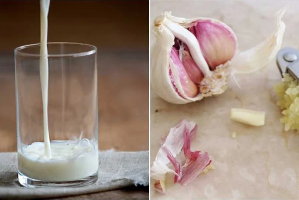 mlijeko sa bijelim lukom