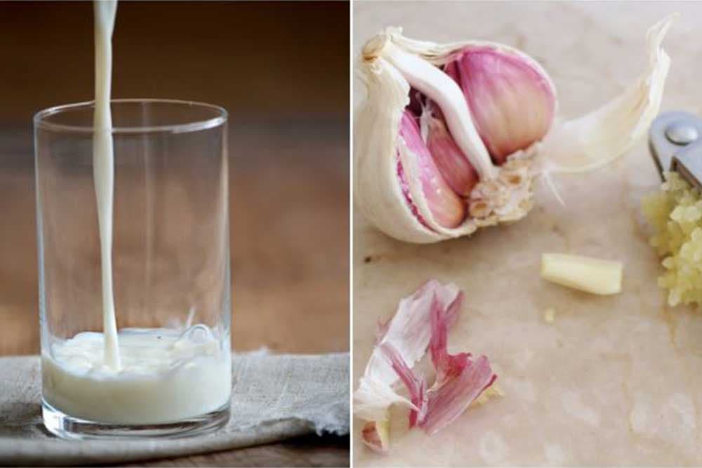 mlijeko sa bijelim lukom