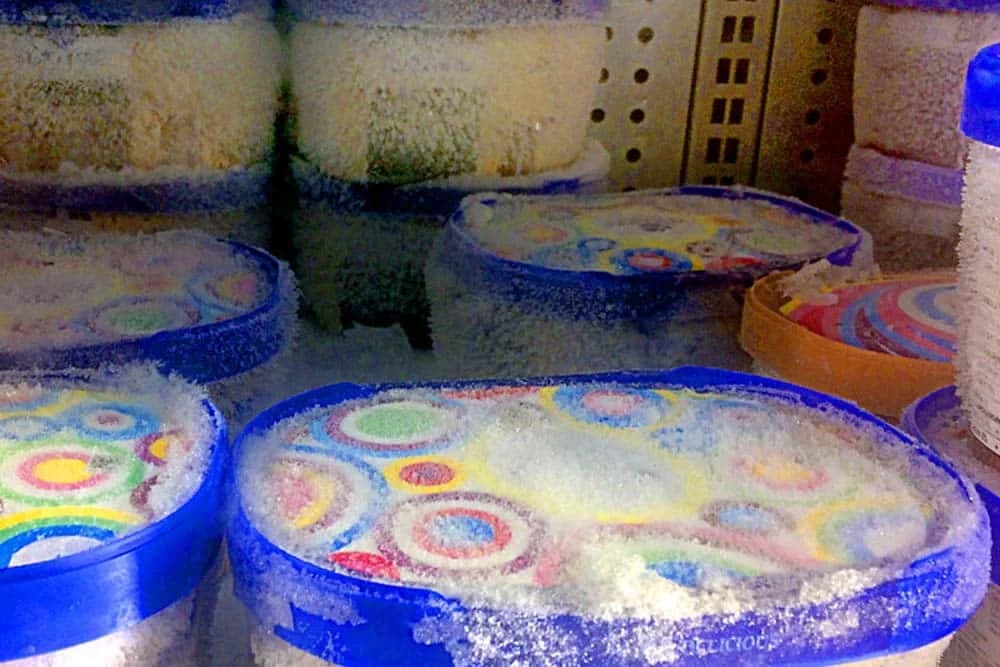 hrana u kutiji od sladoleda